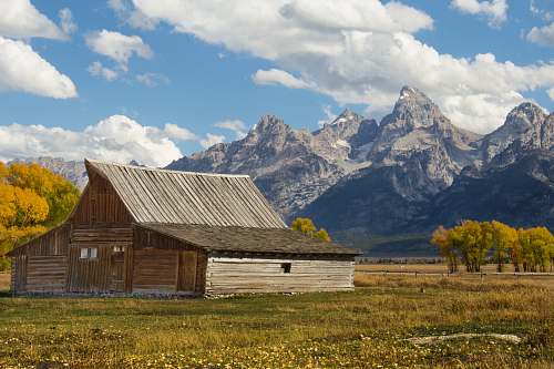 jackson hole brown wooden house between trees at daytime field